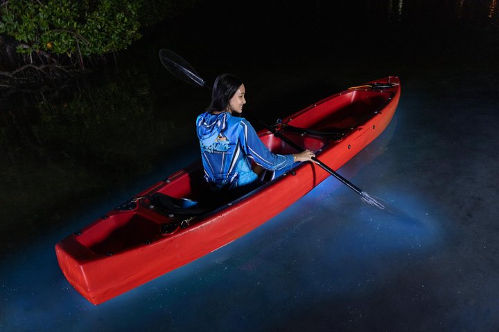 Oförglömlig En Dag Bioluminescent Kajak Äventyr i Vieques