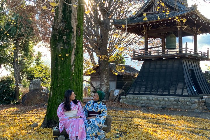 Experiencia privada de kimono y ceremonia del té en Inuyama Castle Town