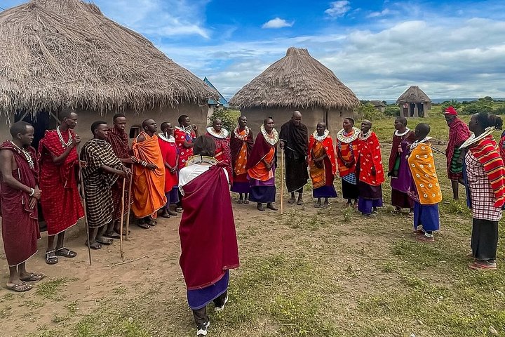 1 dagstur till Serval Wildlife Sanctuary och Massai Village Tour