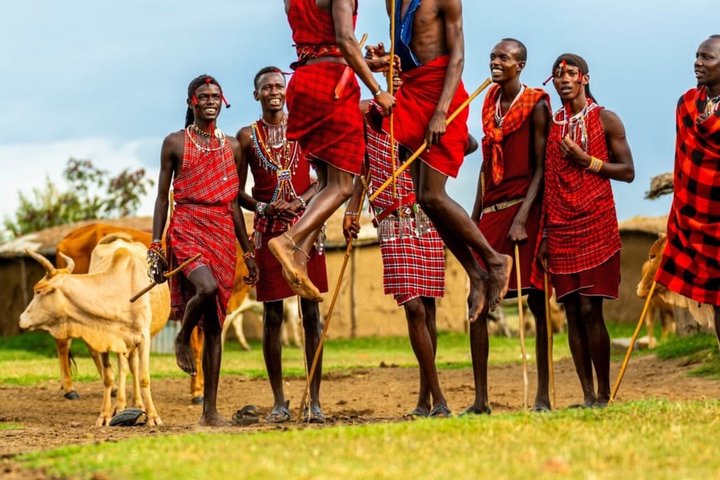 1 dagstur till Serval Wildlife Sanctuary och Massai Village Tour