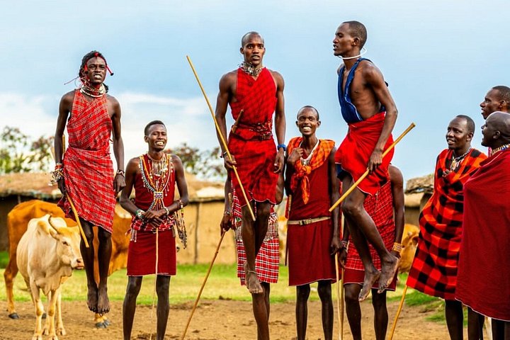 1 dagstur till Serval Wildlife Sanctuary och Massai Village Tour