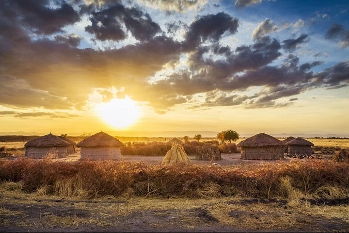 1 dagstur till Serval Wildlife Sanctuary och Massai Village Tour