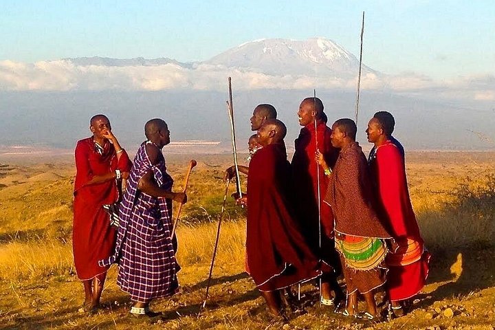1 dagstur till Serval Wildlife Sanctuary och Massai Village Tour