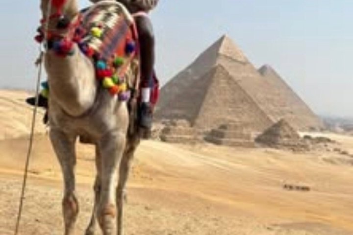 Private Giza Pyramids Great Sphinx Day Tour fra El Alamein