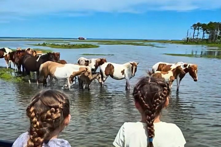 Få svar från personal och tidigare gäster på Saltwater Pony Tours.