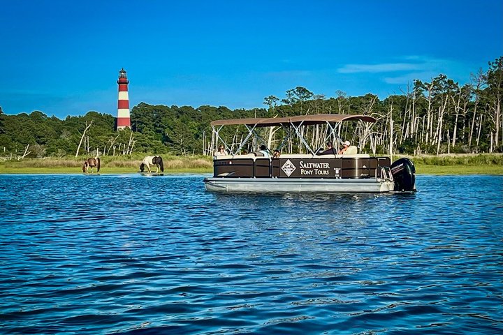 Få svar från personal och tidigare gäster på Saltwater Pony Tours.