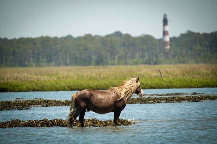 Få svar från personal och tidigare gäster på Saltwater Pony Tours.
