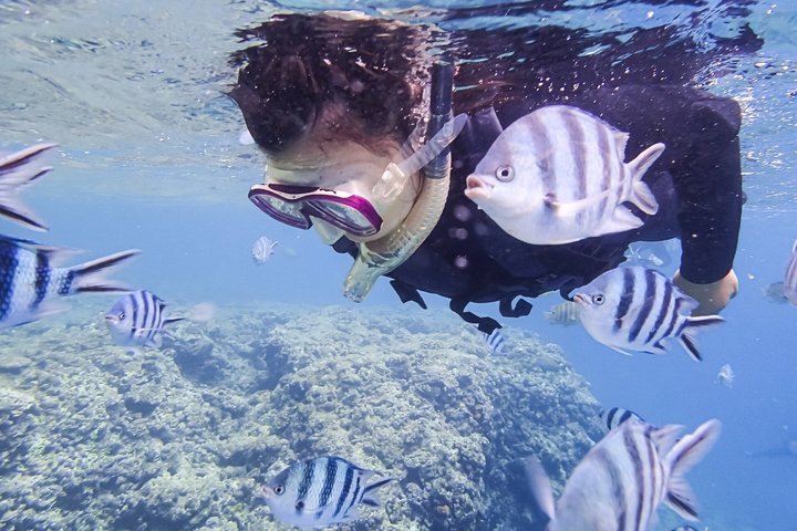 Skjulte strender i Okinawa: Sjøkajakk, snorkling og grill-eventyr