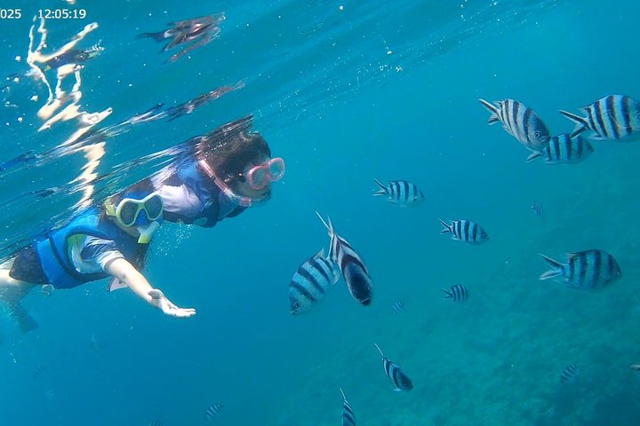 Skjulte strender i Okinawa: Sjøkajakk, snorkling og grill-eventyr