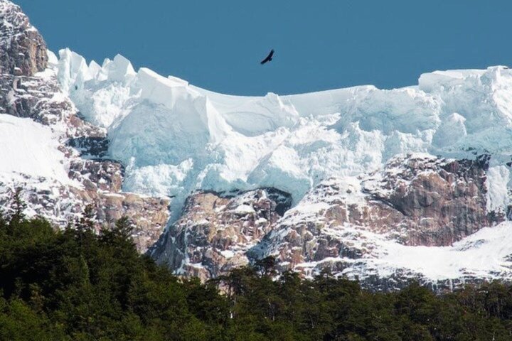 Patagonien Mest natursköna navigering till Balmaceda och Serrano glaciärer