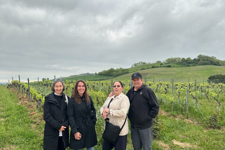 Albi, Cordes og Gaillac dagstur fra Toulouse