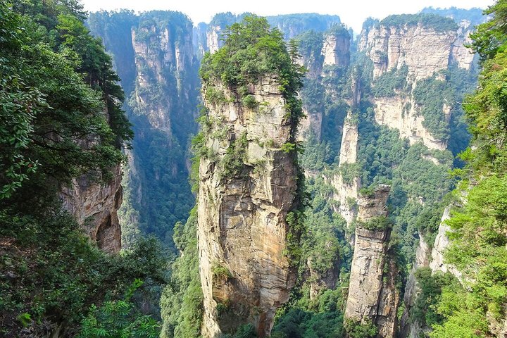 1 - Dag Beste Mini Groep & Privé Tours naar Mt. Avatar & Forest Park