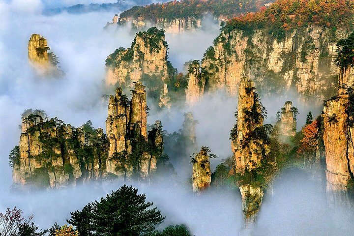 1 - 2 dages tur med alt inklusive: Mt Avatar, Glass Bridge, Mt Tianmen