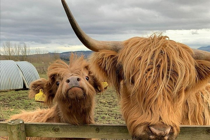 Privérondleiding door Highlands, Oban, Glencoe, Lochs & Castles vanuit Glasgow