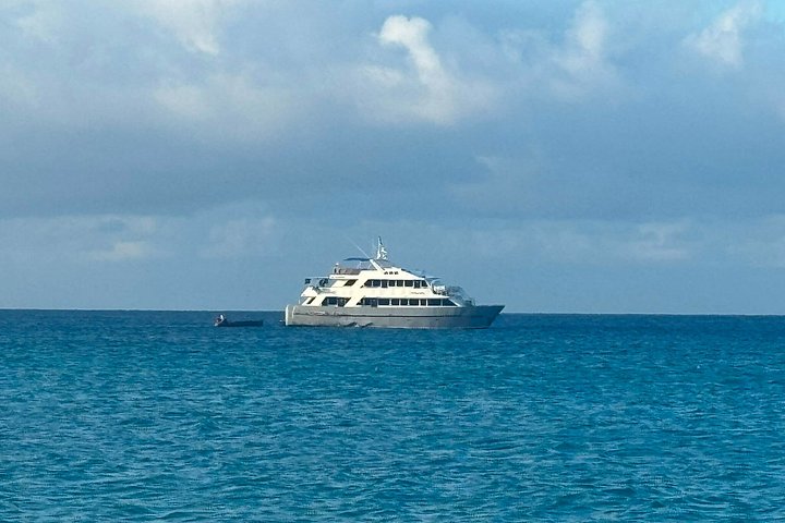 Tour di Island Hopping alle Galapagos 3 Isole in 7 Giorni