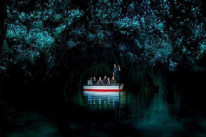 Visite de Hobbiton et des Grottes à Lucioles de Waitomo avec déjeuner depuis Auckland