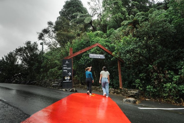 Visite de Hobbiton et des Grottes à Lucioles de Waitomo avec déjeuner depuis Auckland