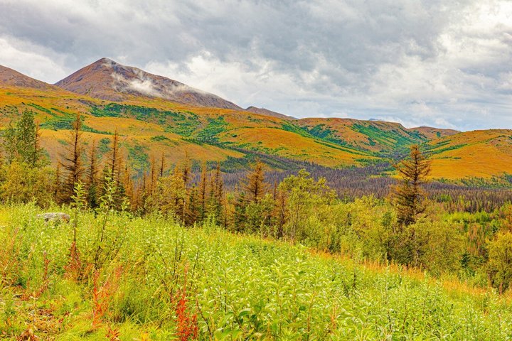 Självguidad ljudtur från Anchorage till Denali