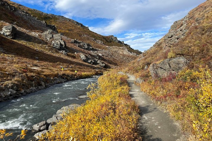 Självguidad ljudtur från Anchorage till Denali