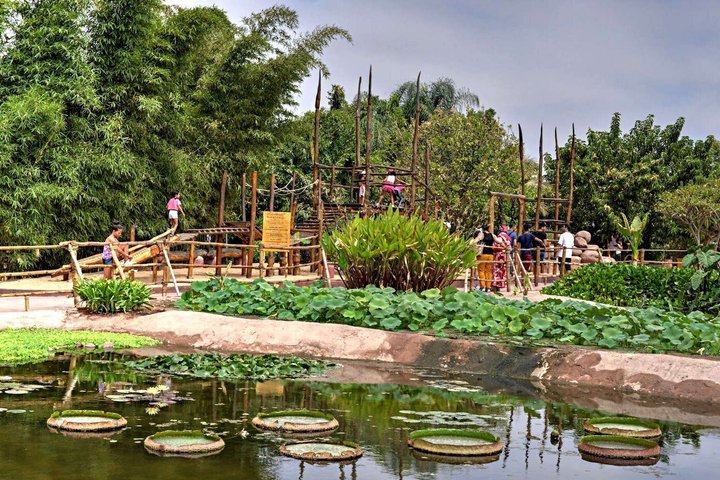 Entradas para el Agadir Crocoparc con traslado de ida y vuelta, todo incluido.