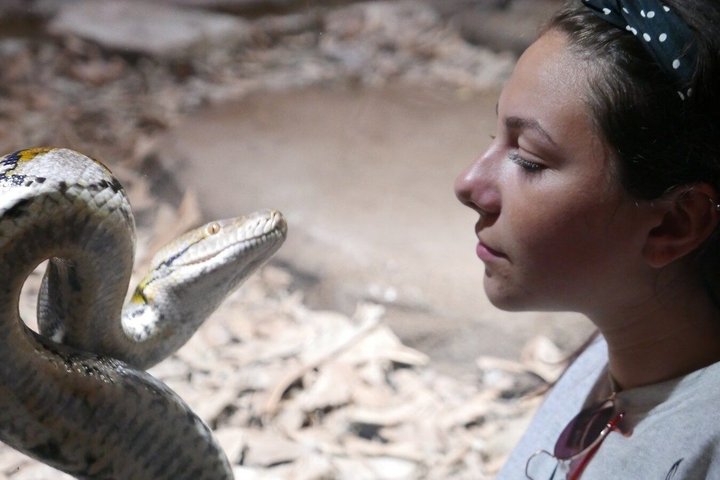 Entradas para el Agadir Crocoparc con traslado de ida y vuelta, todo incluido.