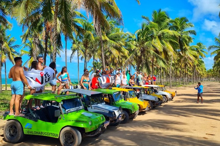 Privat transfer från Recife flygplats till Porto de Galinhas