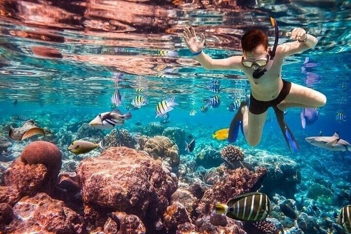Ras Mohammed og White Island Snorkeling og dykking – Sharm El Sheikh