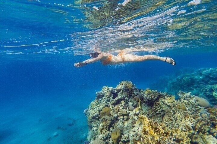 Ras Mohammed og White Island Snorkeling og dykking – Sharm El Sheikh