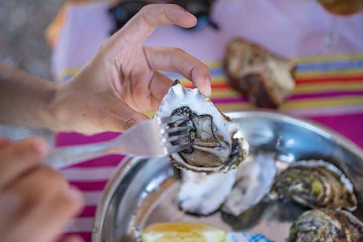 Privétour van een halve dag wijn- en oesterproeverij vanuit Cap d'Agde
