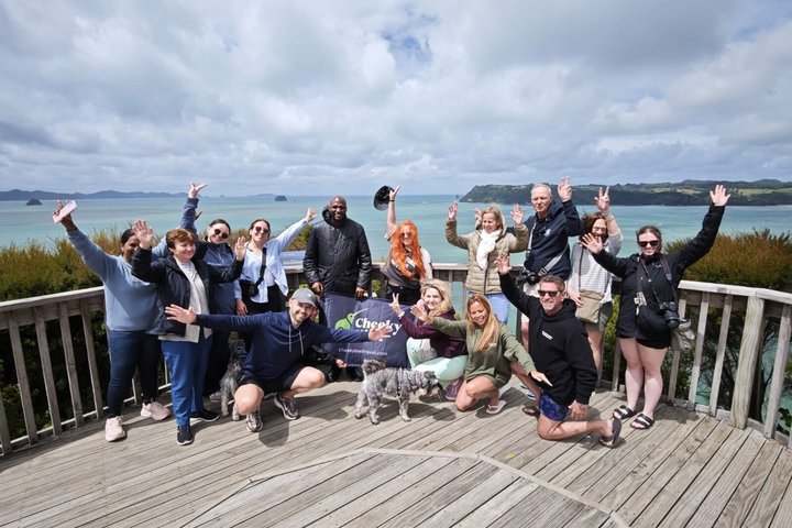 Cathedral Cove & Hot Water Beach Tour met kleine groep en lunch