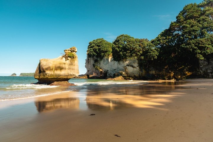 Cathedral Cove & Hot Water Beach Tour met kleine groep en lunch