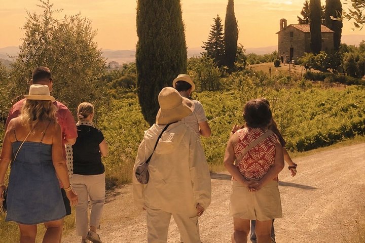 Siena: Chianti-zonsondergangtour met diner en wijnproeverij