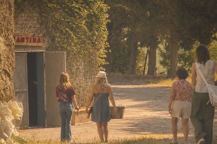 Siena: Chianti-zonsondergangtour met diner en wijnproeverij