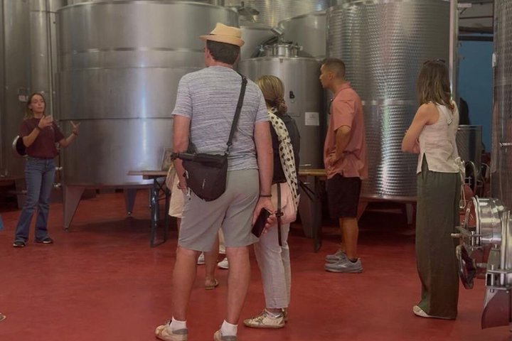 Siena: Chianti-zonsondergangtour met diner en wijnproeverij