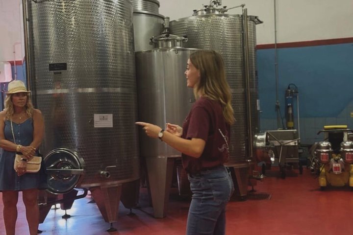 Siena: Chianti-zonsondergangtour met diner en wijnproeverij