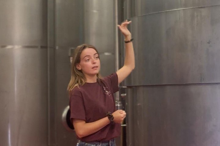 Siena: Chianti-zonsondergangtour met diner en wijnproeverij