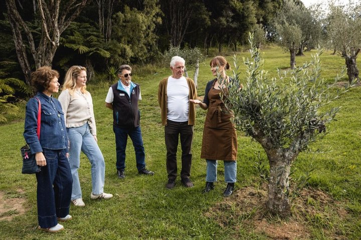 Gourmetmat- og vintur på Waiheke Island