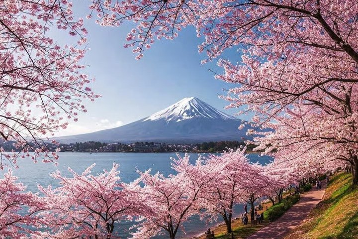 Mt Fuji Versteckte Juwelen Privat-Tour von Tokio