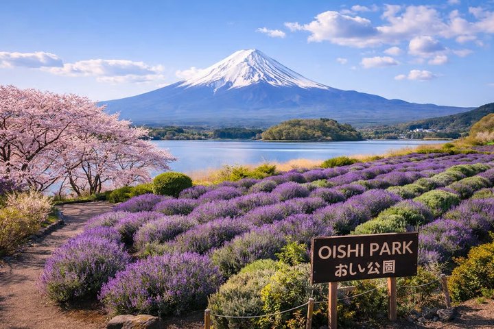 Mt Fuji Versteckte Juwelen Privat-Tour von Tokio