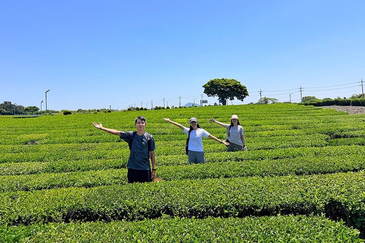 Jeju WestSouth Autentisk endagstur med MT.Halla og UNESCO