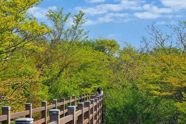 Jeju WestSouth Autentisk endagstur med MT.Halla og UNESCO