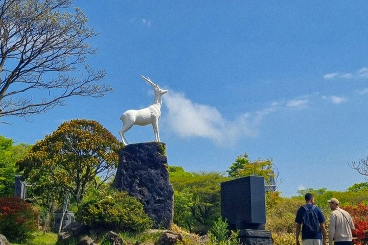 Jeju WestSouth Autentisk endagstur med MT.Halla og UNESCO