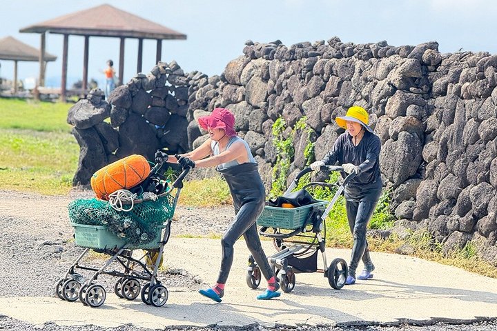 Ganztägige geführte Tour zu den UNESCO-Stätten im Osten der Insel Jeju