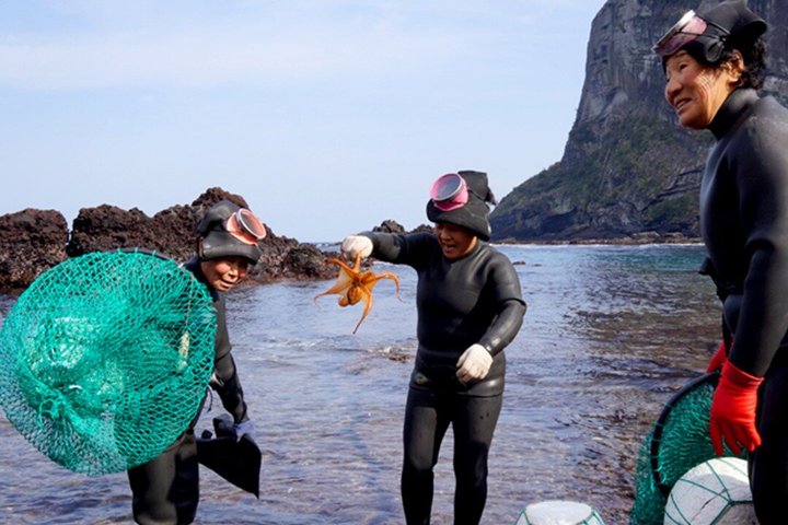 Ganztägige geführte Tour zu den UNESCO-Stätten im Osten der Insel Jeju
