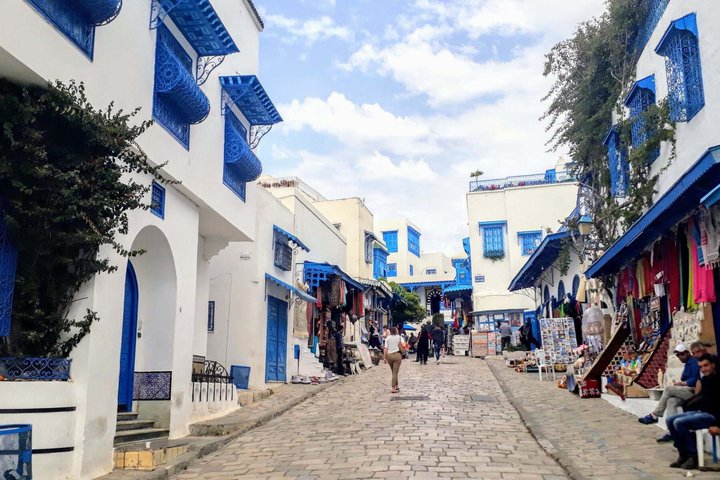 Fun tour de prestígio Tunis: Bardo/Medina, Carthage e Sidi Boussaid
