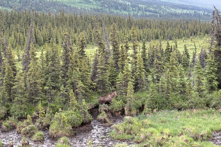 Avventura nella Grotta di Ghiaccio del Ghiacciaio Castner da Fairbanks