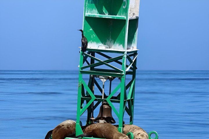 Hotell i nærheten av Port Townsend Wildlife Watching Boat Cruise