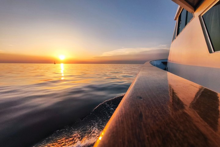 Crociera al tramonto con avvistamento dei delfini da Umago con drink di benvenuto