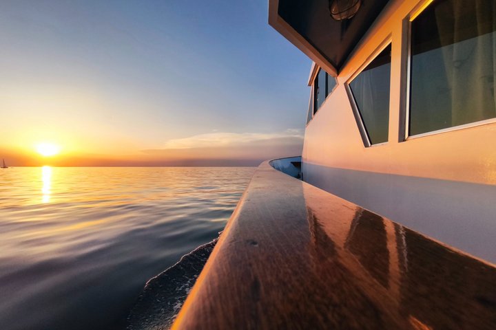 Crociera al tramonto con avvistamento dei delfini da Umago con drink di benvenuto
