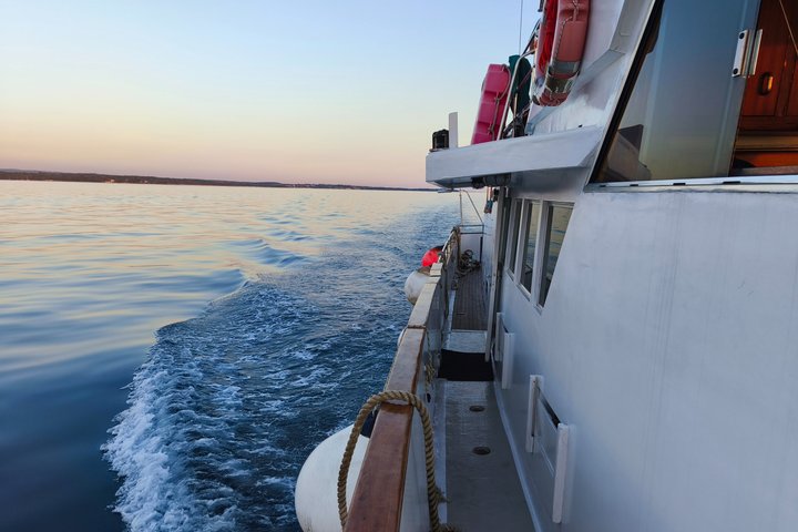 Crociera al tramonto con avvistamento dei delfini da Umago con drink di benvenuto